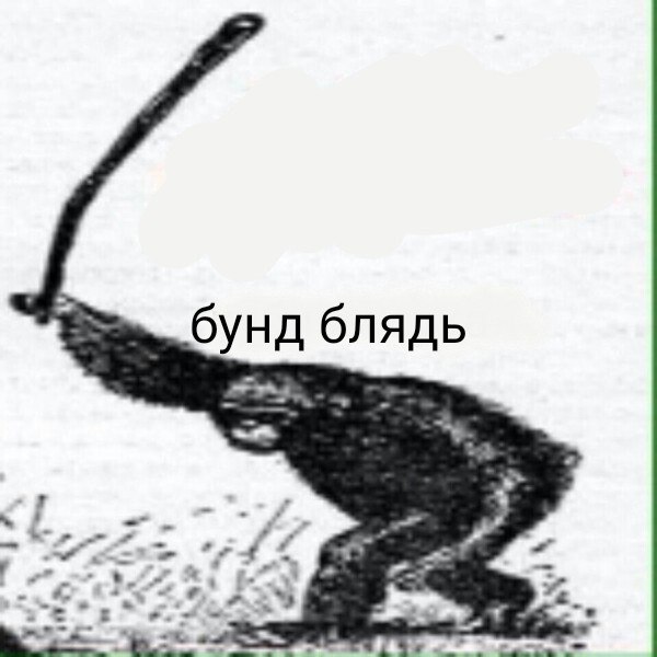 DR